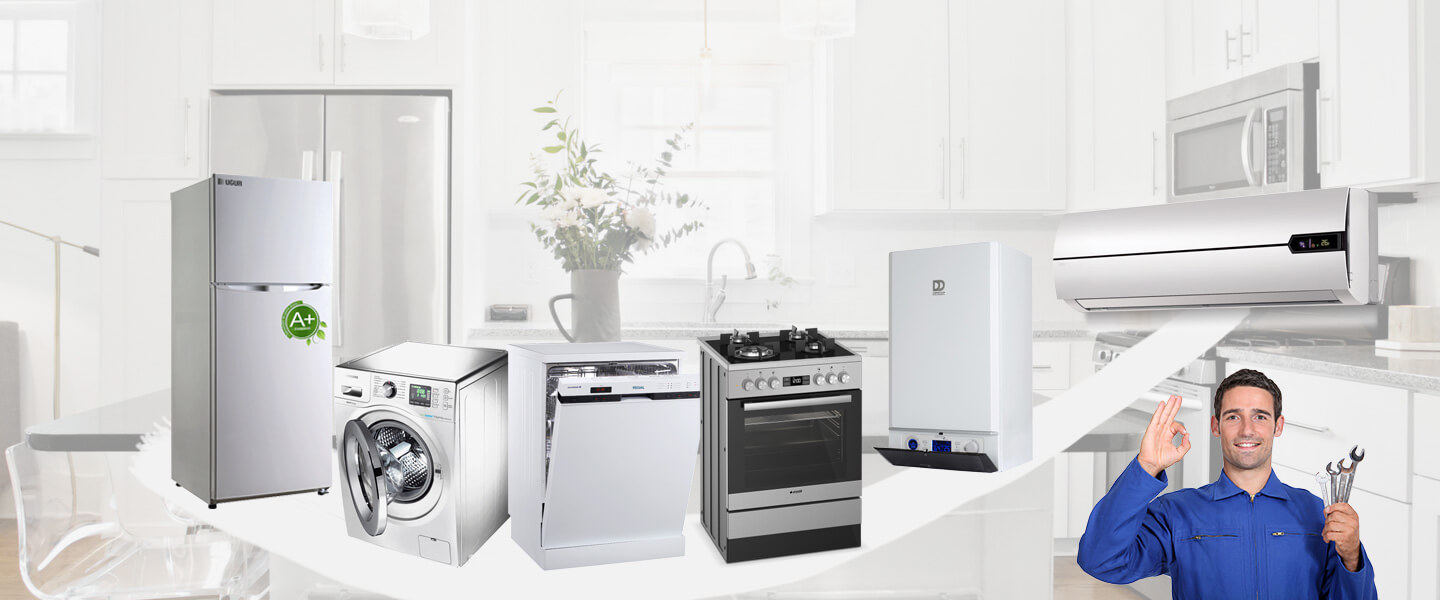 Büyükçekmece Philips Servisi